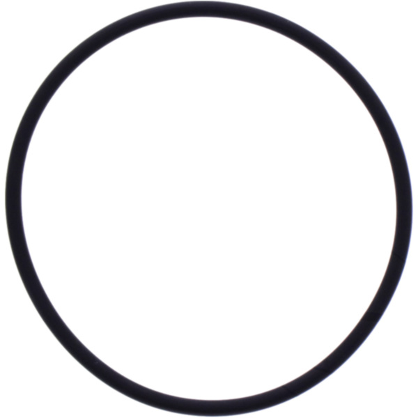 Valve cover gasket o-ring M752505800004