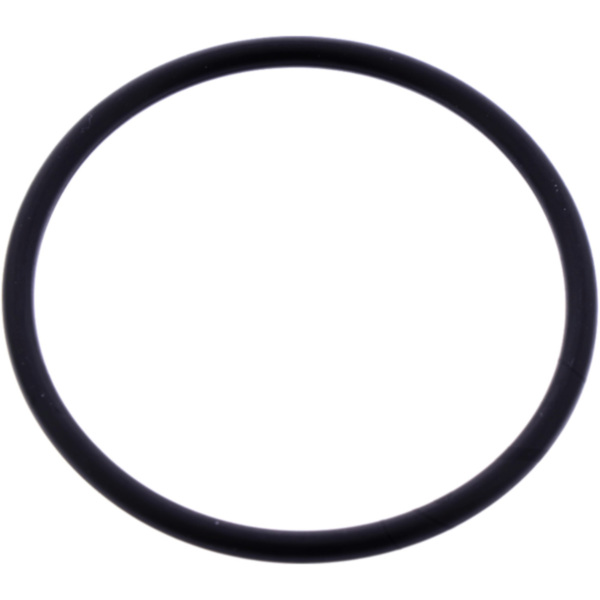 Valve cover gasket o-ring 281840