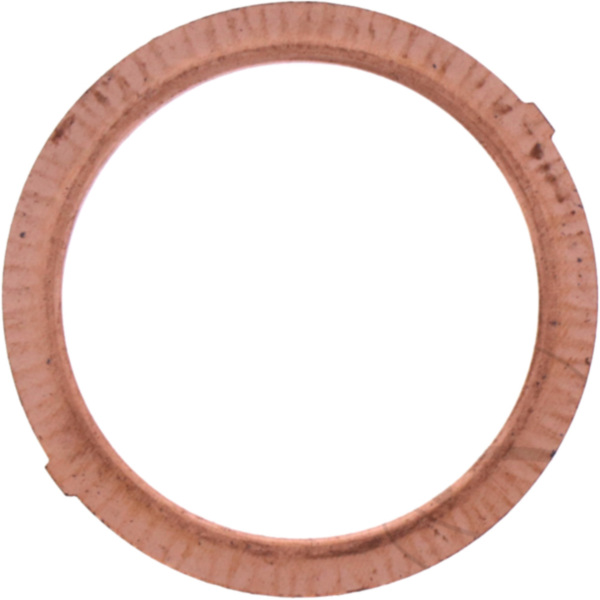 Exhaust gasket athena