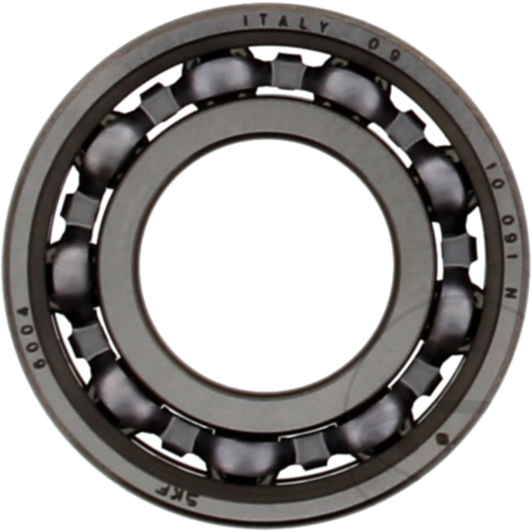 bearing 6004 skf