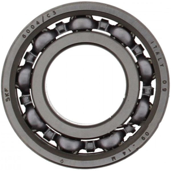 bearing 6004 c3 skf