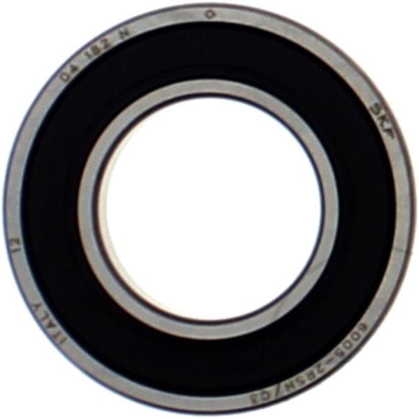 bearing 6005 2rsc3 skf