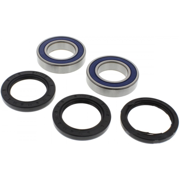 Wheel bearing and seal kit 251577