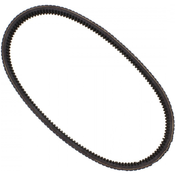 V-Belt 30.0X1038