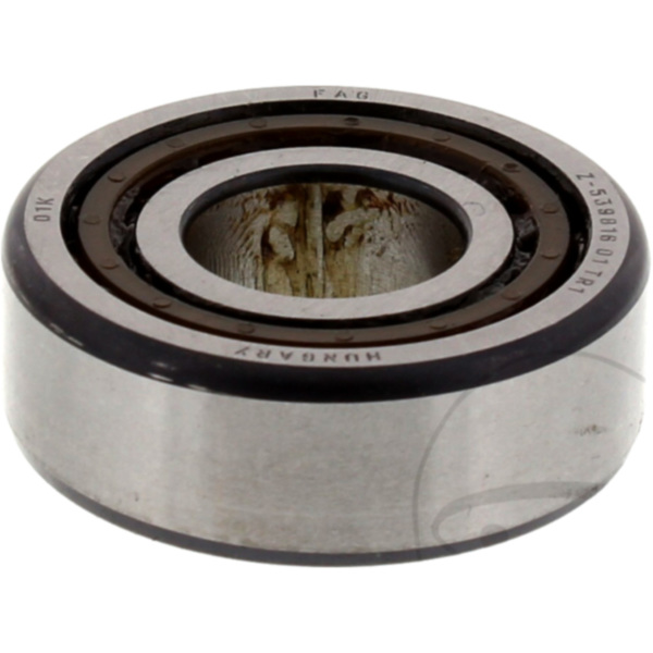 Swingarm roller bearing