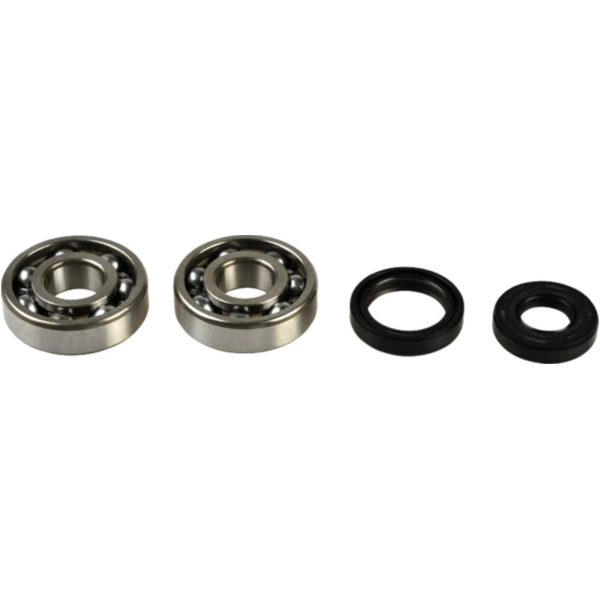 Crankshaft bearing kit P400250444001