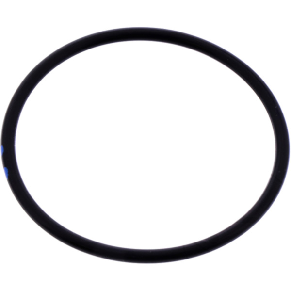 O-Ring für Kolben Federbein