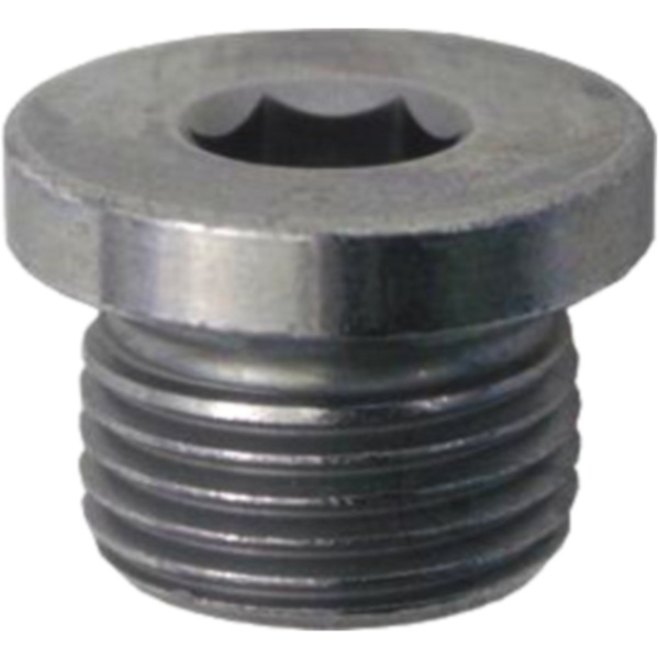 Drain bolt