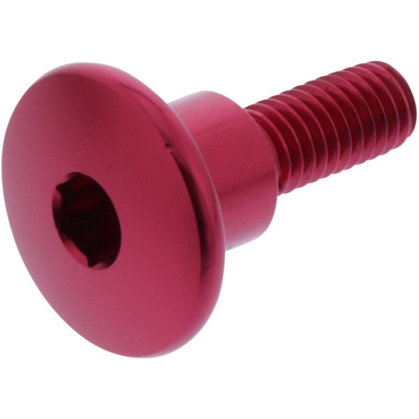 Dome head bolt probolt LFB622COLLR