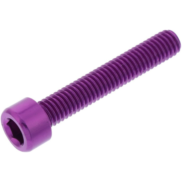 Hex socket cap screw probolt LPB635P