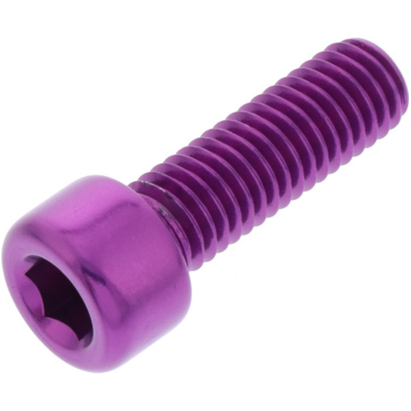 Hex socket cap screw probolt LPB825P