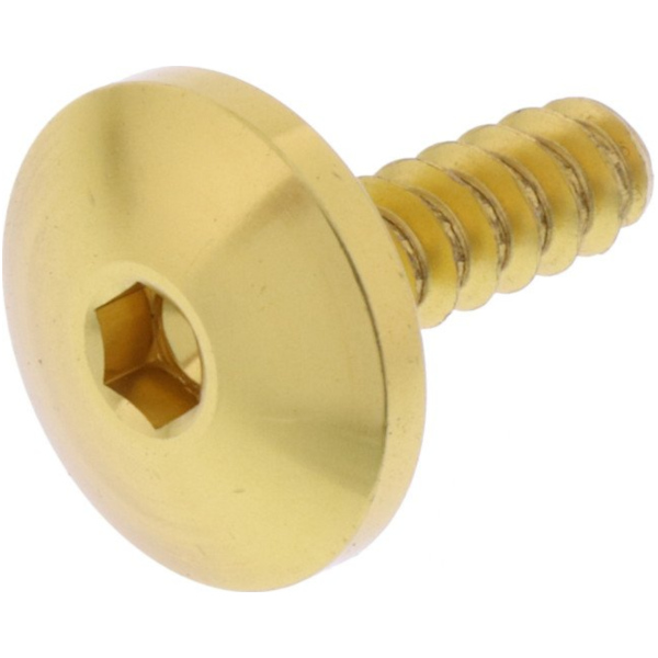 Schraube Selbstschneidend LSTB516XLG