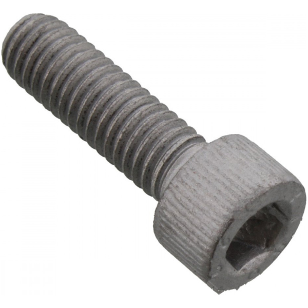 Screw  sprocket original spare part 864850
