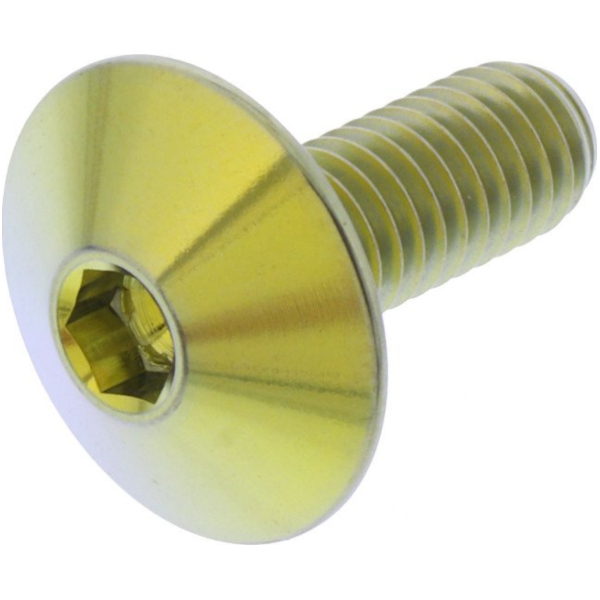 Linsenschraube TIFB616G