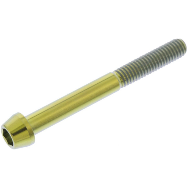 Schraube konisch TISC655G