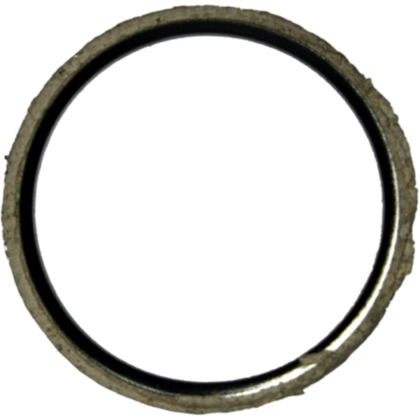 Exhaust gasket S410190012008