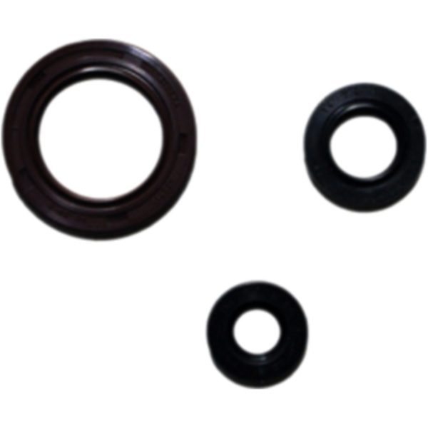Shaft seal set athena P400250400036