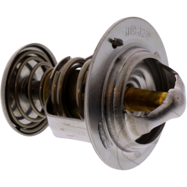 Thermostat (orig spare part) 969428