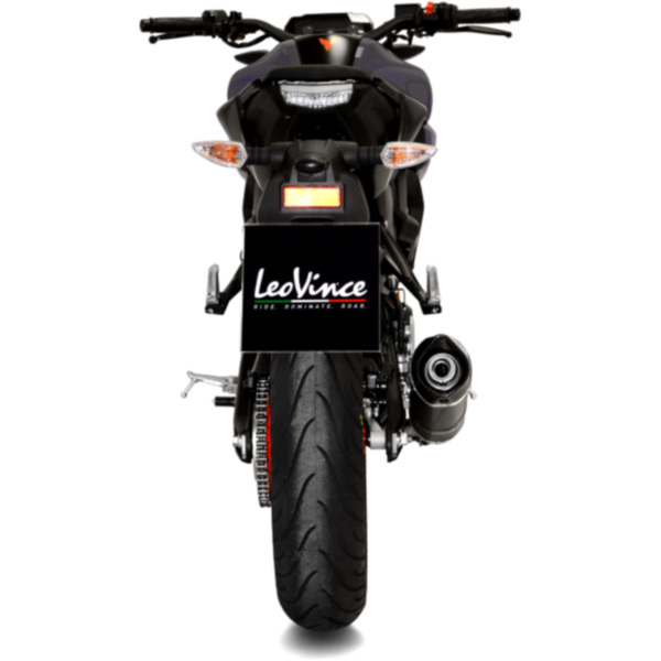 Silencer sbk carbon lv-one 14366EK_1