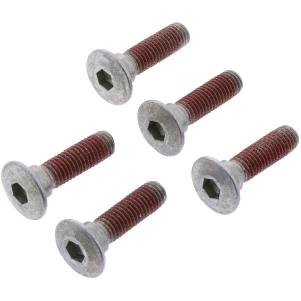 Brake disc screw kit trw MSS1255