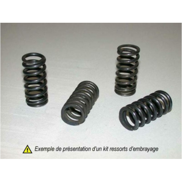 Kit Kupplungsfedern für Yamaha TZR250 passend für Yamaha TZR  250 2MA 1987, 50 PS, 37 kw