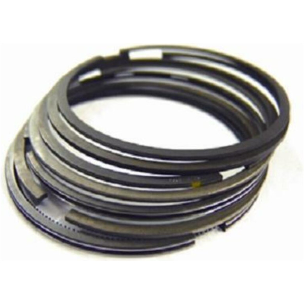 SET OF PISTON RINGS 89MM for Beta RR4504TENDURO KTM 450EXCRACING
