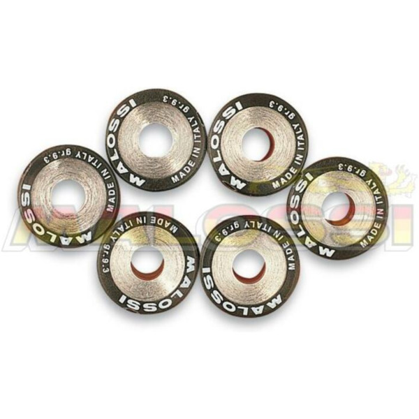 MALOSSI Satz Variomatrollen 18x14mm 14gr - 6-teilig für Kymco LIKE125, PEOPLE200 Honda NSC110VISION