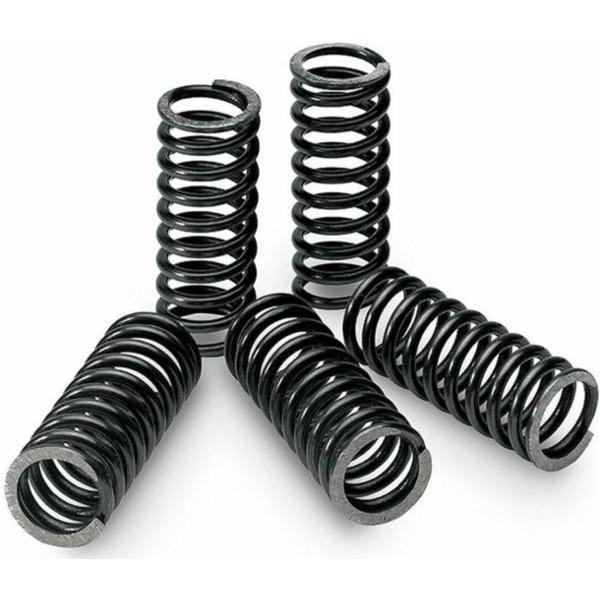 TECNIUM Kupplungsfeder Kit schachtel von 6 für Suzuki RMZ450 LT-R450QUADRACER, RM250, RM-Z450 Yamaha YZ450F