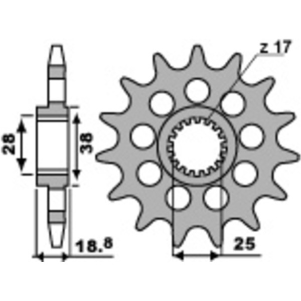 PBR Standard Stahlriztel vorne 2178 - 520 für Aprilia TUONO1100V4