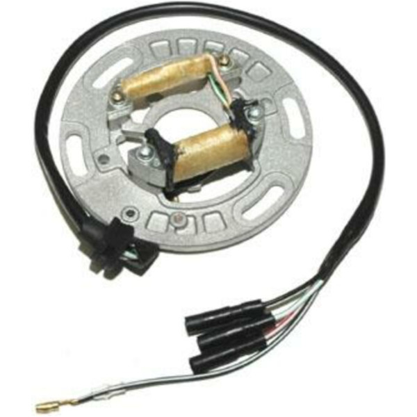 ELECTROSPORT Stator - für Kawasaki KX125, KX250, KX500