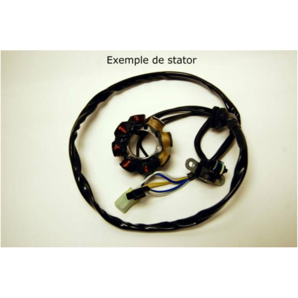 ELECTROSPORT Stator - für Suzuki RM125/250 RM250