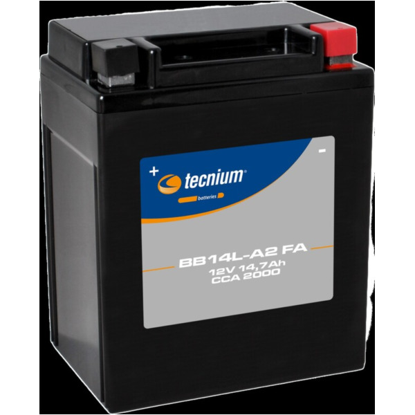 TECNIUM Battery Maintenance Free Factory Activated - BB14L-A2 for Kawasaki, Honda, Suzuki fitting for Kawasaki GPZ  500 EX500D 1998, 60/50/34/27 PS, 44/37/25/20 kw