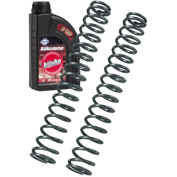 BITUBO lineare Gabelfedern Kit für Yamaha XJR1300 MY71