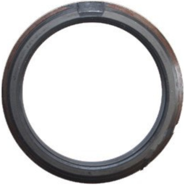 Seal ring twin ram 35