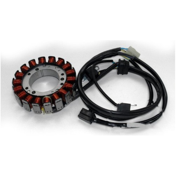 Generator Lichtmaschine Stator Tourmax