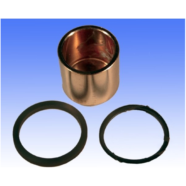 Brake caliper piston kit CPK423_1