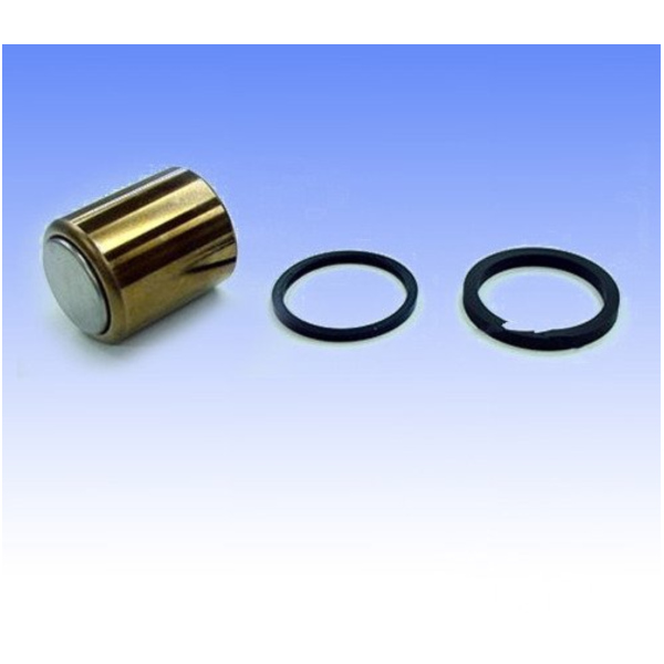 Brake caliper piston kit CPK137