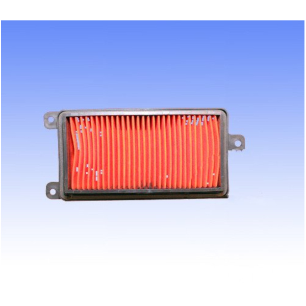 Luftfilter Foam Athena S410210200059_1