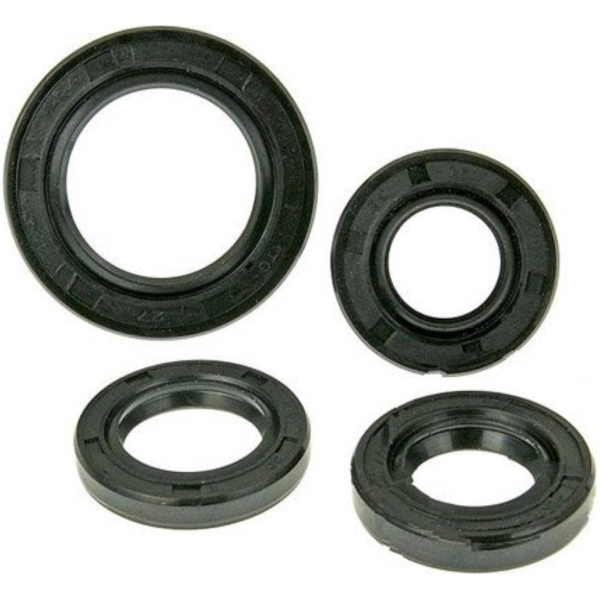 Engine oil seal kit BT17304 fitting for Jinlun JL50QT-12B  50  2013, 3,1 PS, 2,3 kw