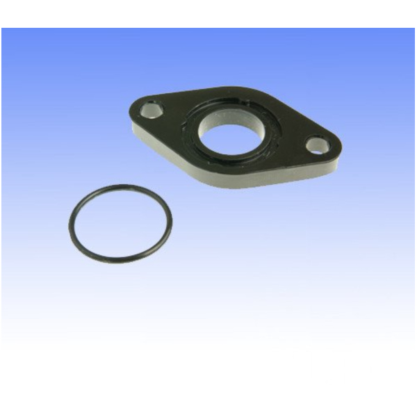 Intake manifold gasket with o-ring_1