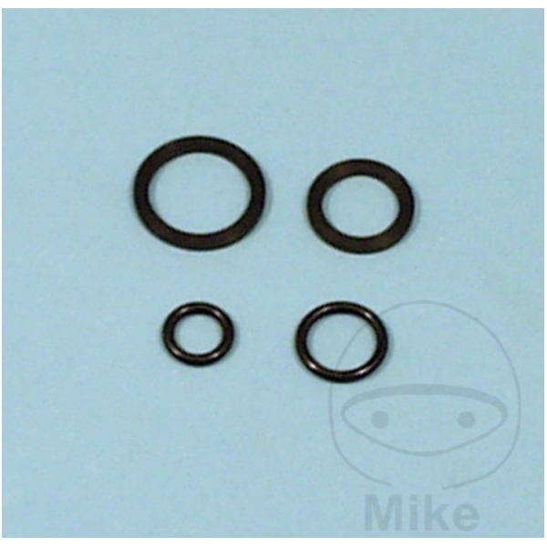 Fuel tank valve repair kit FCK8