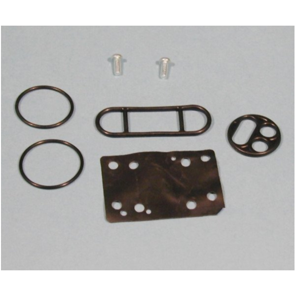 Fuel tank valve repair kit FCK31