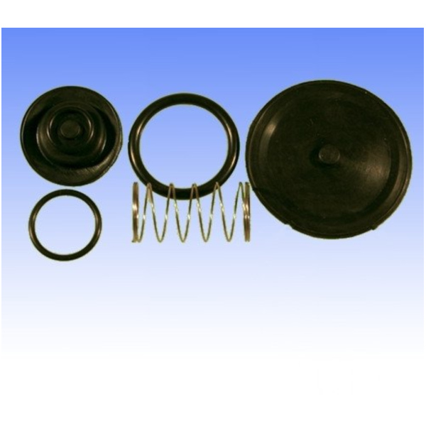 Fuel tank valve repair kit FCK37