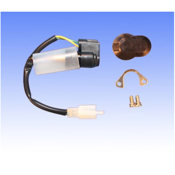 Elektrischer Choke Kaltstarter E-CHOKE Dellorto 5308178