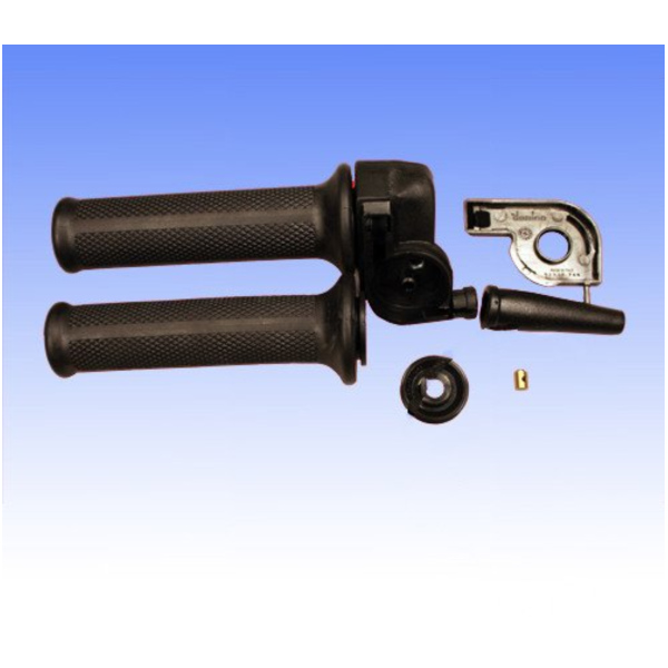 Throttle 06700301