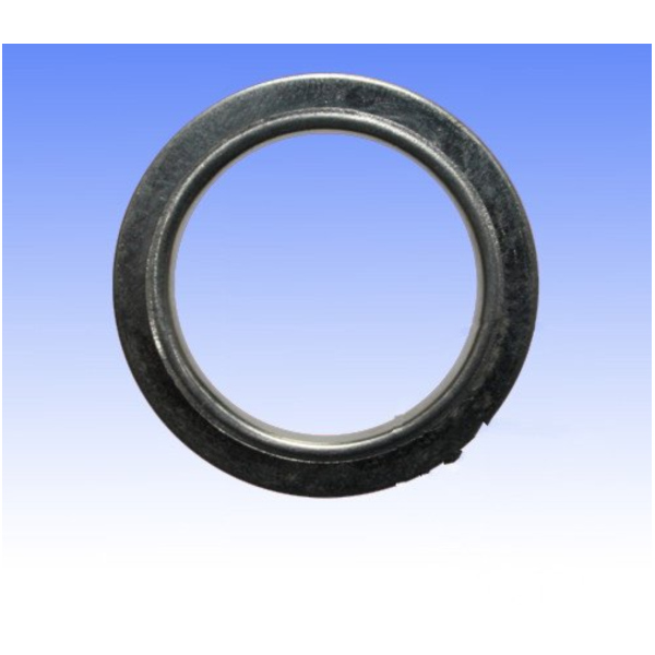 Exhaust gasket S410050012009_1