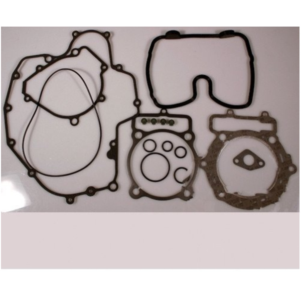 Complete gasket / seal kit P400220850256_1