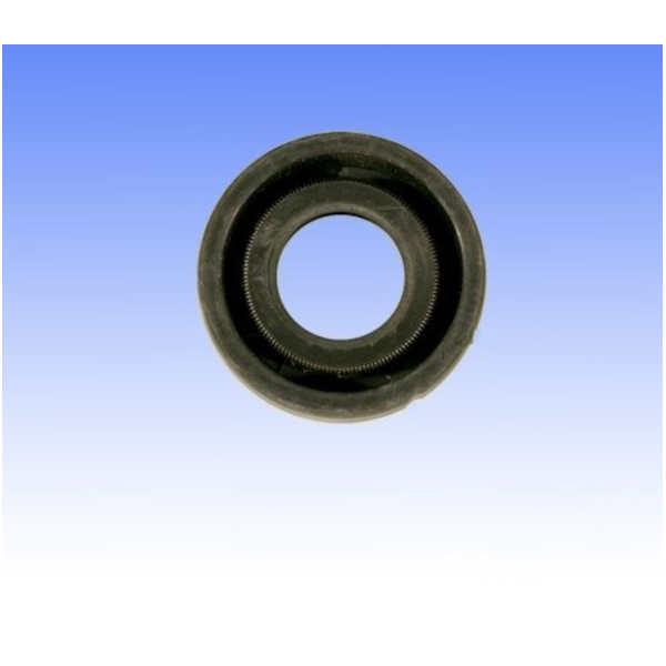 Oil seal 25x12.5x8mm