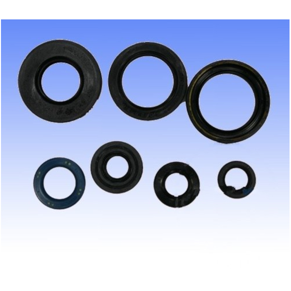 Wellendichtring Satz Athena P400485400045_1