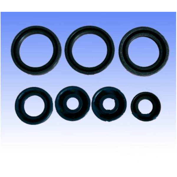 Engine oil seal kit P400010400013_1